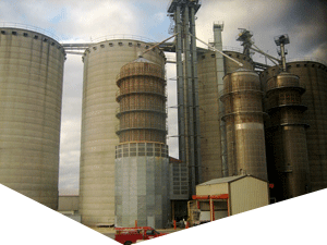 ddos在线攻击测试网站